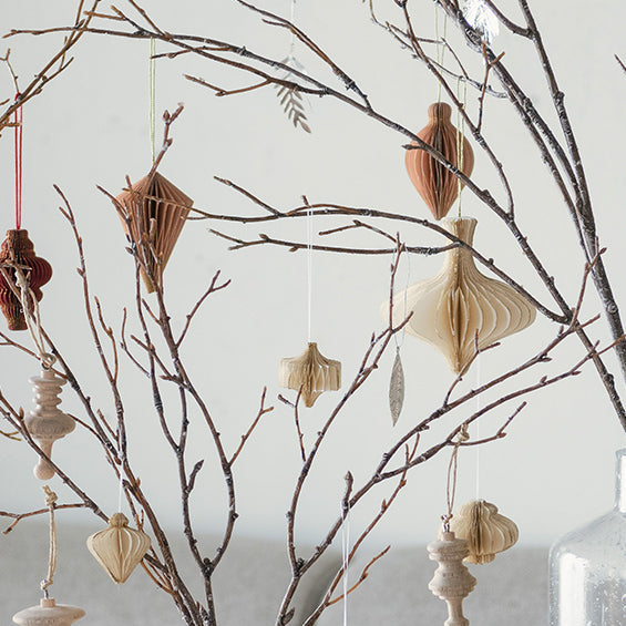 ツリーがなくても大丈夫。枝にそっと灯すクリスマスの楽しみ方