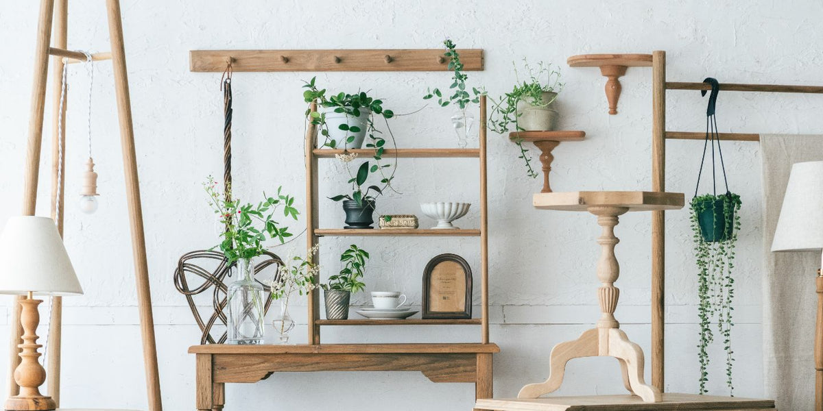 Atelier — ANTRY USE ONLY GENUINE