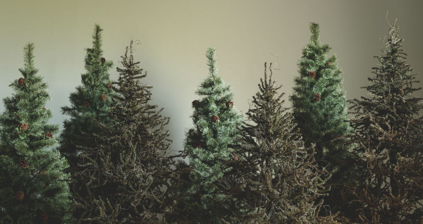 クリスマスツリー