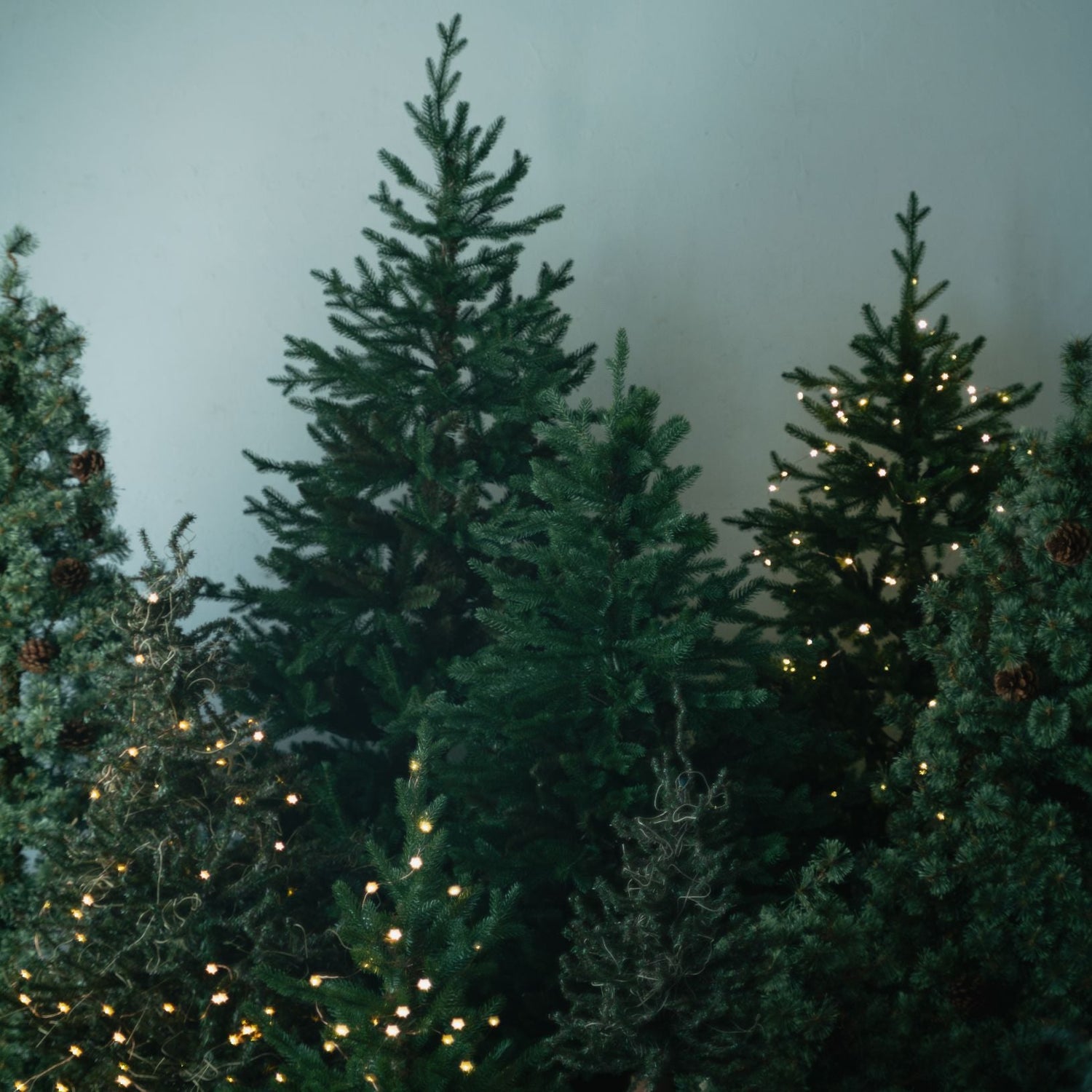 アントリークリスマスツリー　HUONE Christmas Tree 180cm クリスマスツリー | ナチュラル・スリム・ヴィンテージ調ツリー