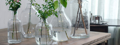 Fizzy Glass Vases