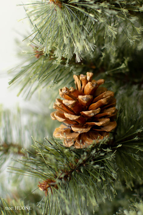 基本の3点セット（選べるツリー・カバー・ライト）