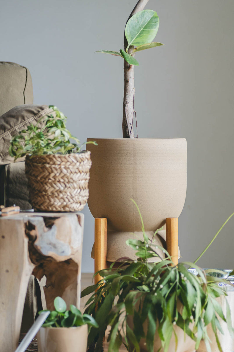 23032118_20250301_03_1200x1200