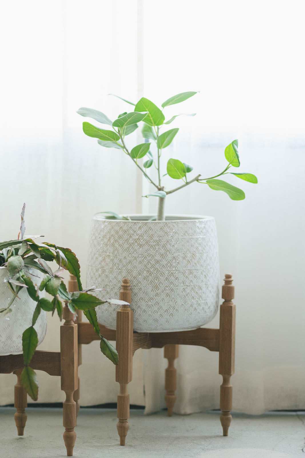 Bic Pot — ANTRY USE ONLY GENUINE