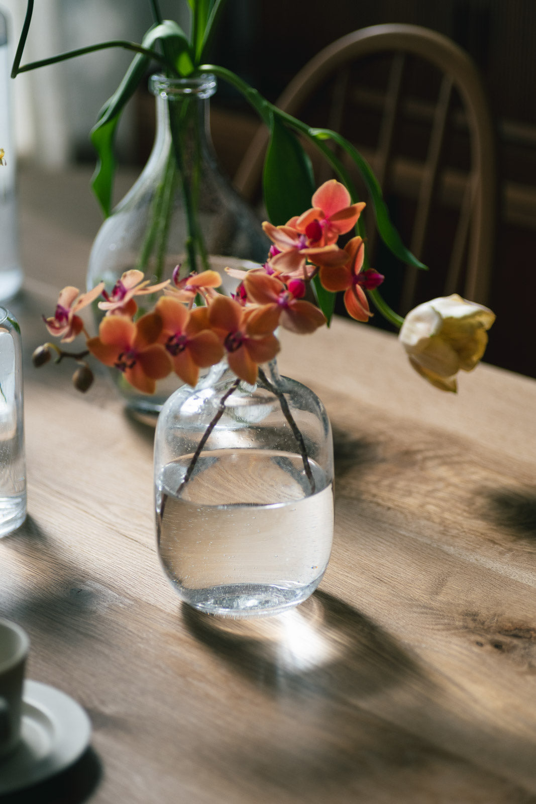 Fizzy Oval H18cm | フラワーベース — ANTRY USE ONLY GENUINE