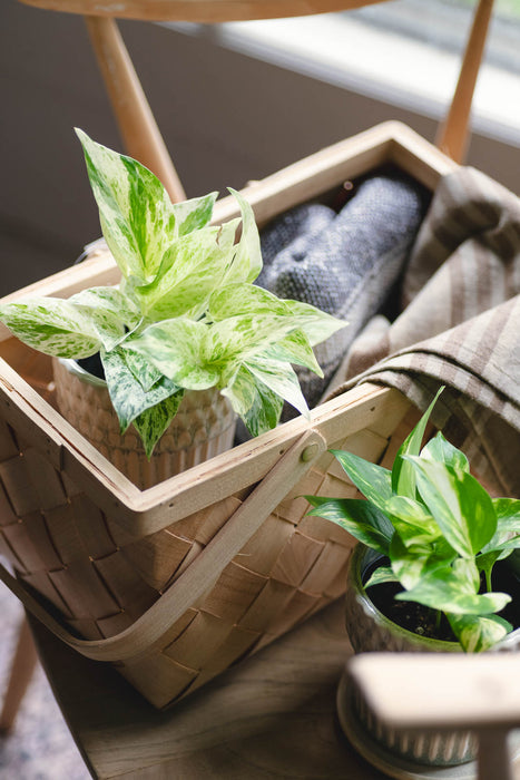 Snokka Handle Basket