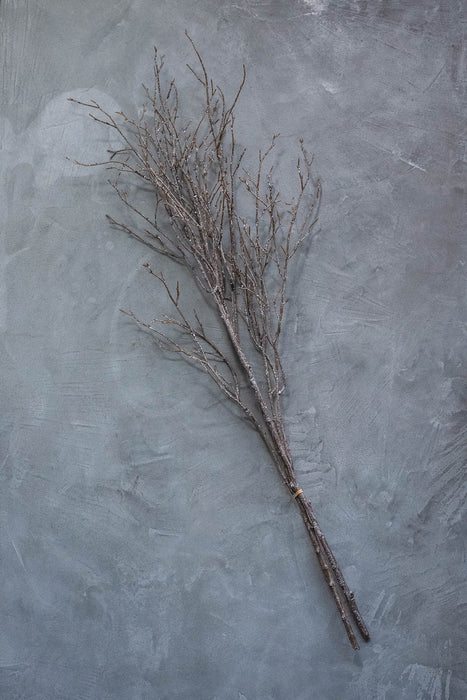 バーチブランチ 100cm ブラウン/ホワイト 2本セット