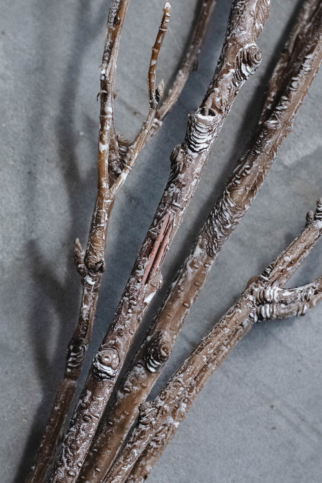 バーチブランチ 100cm ブラウン/ホワイト 2本セット