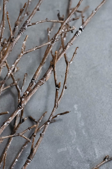 バーチブランチ 54cm ブラウン/ホワイト 3本セット