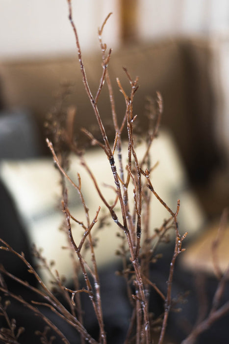 バーチブランチ 75cm ブラウン/ホワイト 3本セット