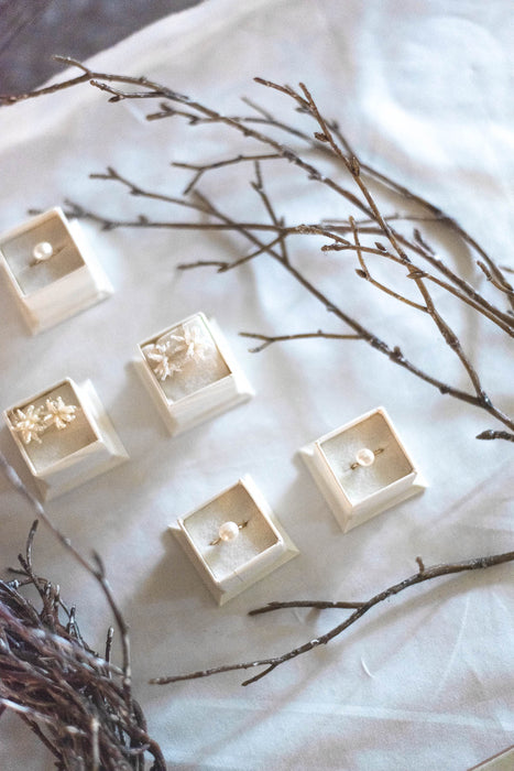 バーチブランチ 54cm ブラウン/ホワイト 3本セット