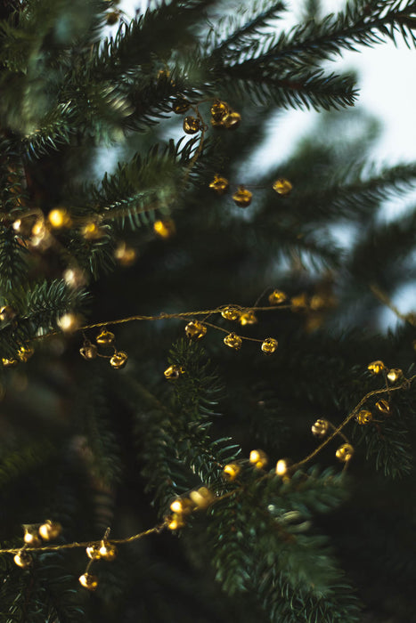 Berrybell | ワイヤーデコレーション 180cm