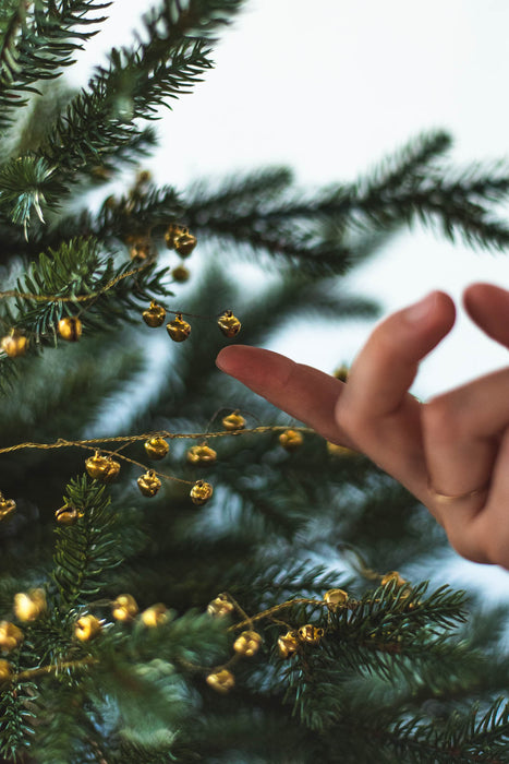 Berrybell | ワイヤーデコレーション 180cm