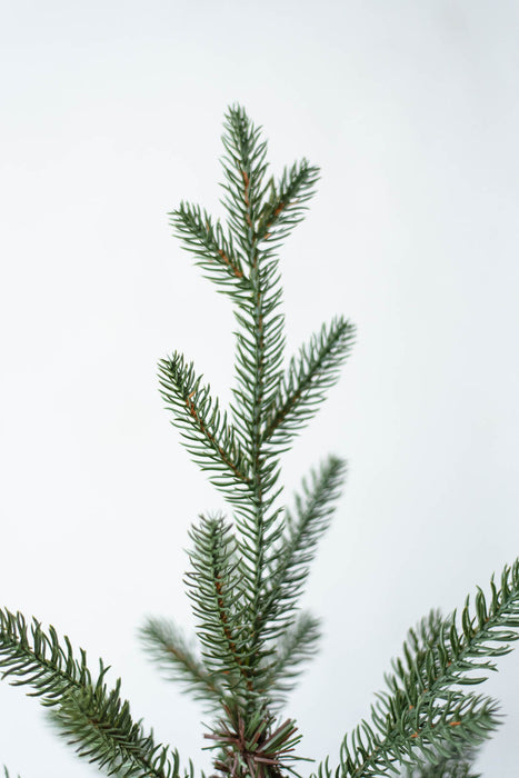 KIVI Tree 180cm | Christmas tree