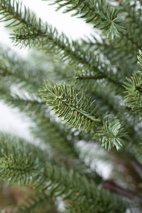 KIVI Tree 180cm | Christmas tree