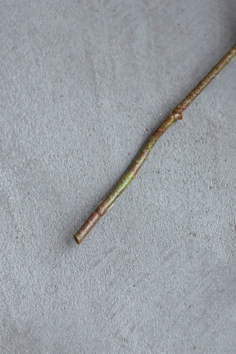 メタリックシダー&ユーカリシード | フェイクグリーン2種セット