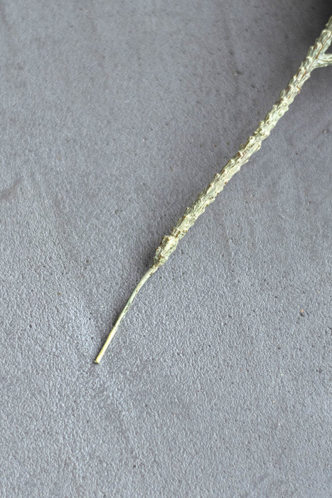 パイン&サイプレス | フェイクグリーン2種セット