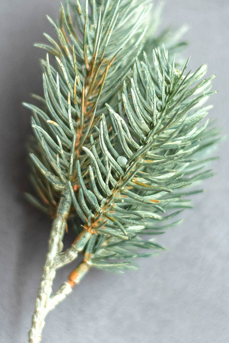 パイン&サイプレス | フェイクグリーン2種セット