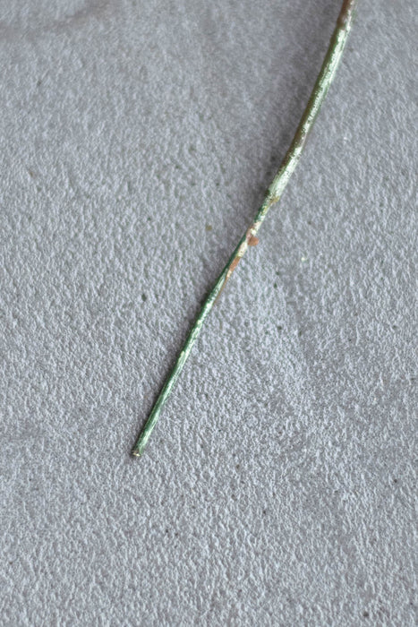 パイン&サイプレス | フェイクグリーン2種セット