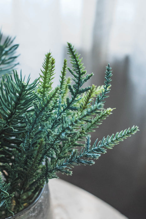 パイン&サイプレス | フェイクグリーン2種セット