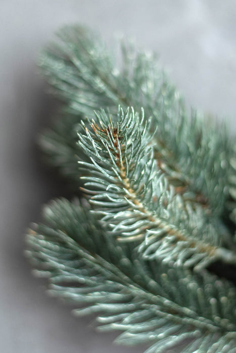 パインミックス | フェイクグリーン2種セット