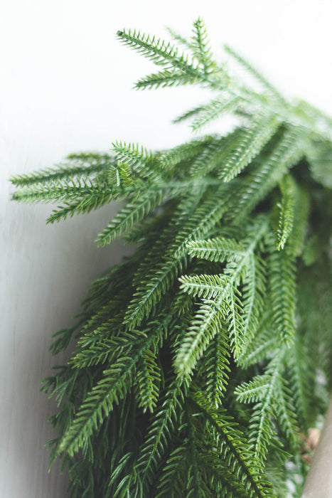 Fir リース | フェイクグリーンリース