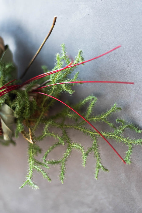 SHIMENAWA 2026 short | しめ縄・正月飾り