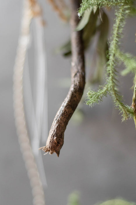 SHIMENAWA 2026 long | しめ縄・正月飾り