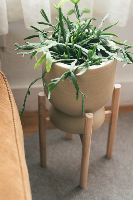 Wood Plant Stand