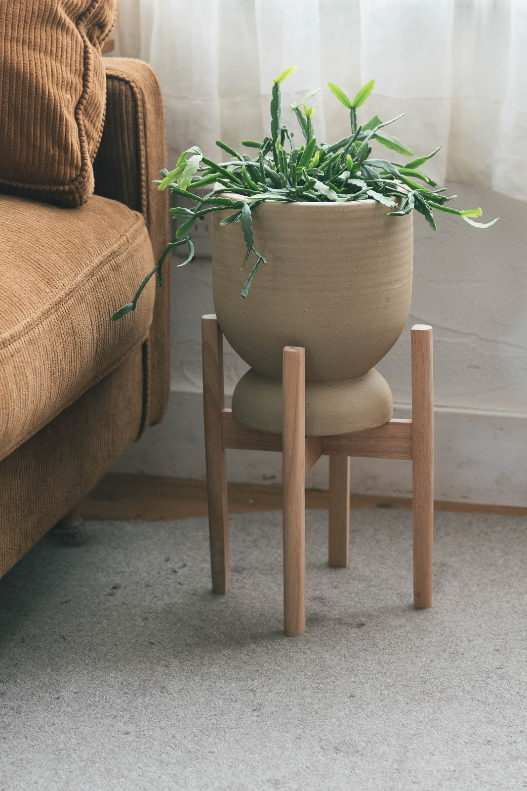 25032057_20250210_06_1200x1799