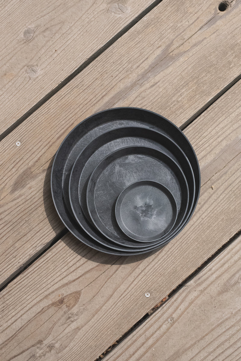 ART STONE SAUCER ブラック — ANTRY USE ONLY GENUINE