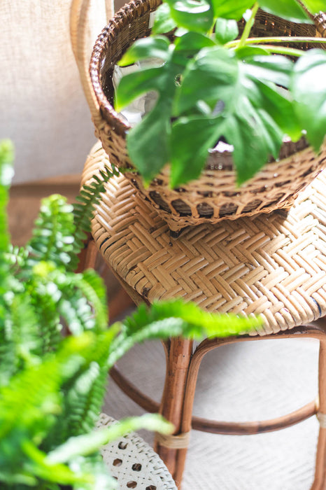 amuco スタッキングラタンスツール