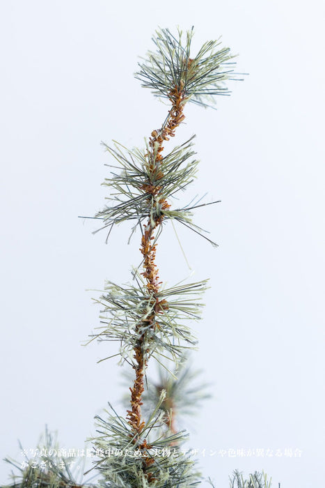 TUPSU tree 180cm | クリスマスツリー