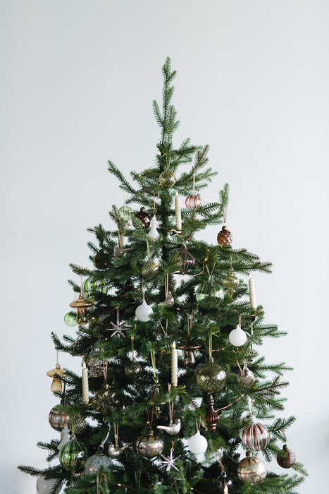 KIVI tree 200cm | クリスマスツリー