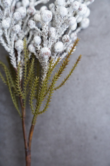 Holiday Winter Assortment (Pine & Berzelia)
