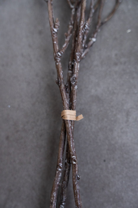 Holiday Winter Assortment (Pine & Berzelia)