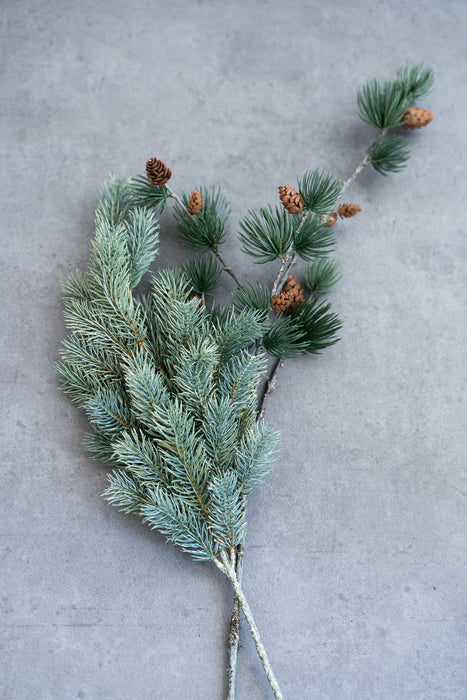 Holiday Pine Assortment