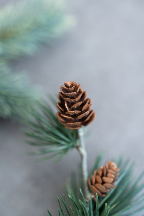 Holiday Pine Assortment