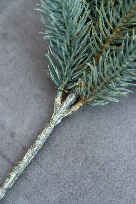 Holiday Pine Assortment