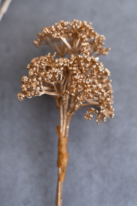 Holiday Botanical Assortment