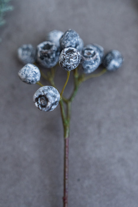 Holiday Botanical Assortment