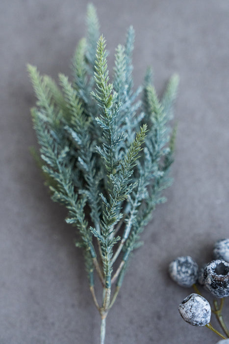 Holiday Botanical Assortment