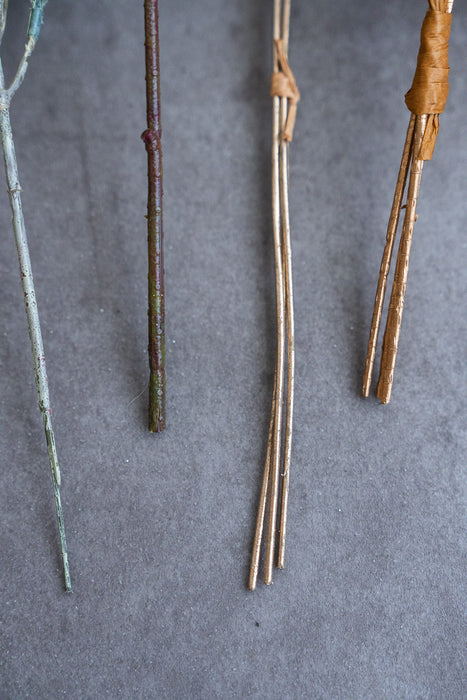 Holiday Botanical Assortment