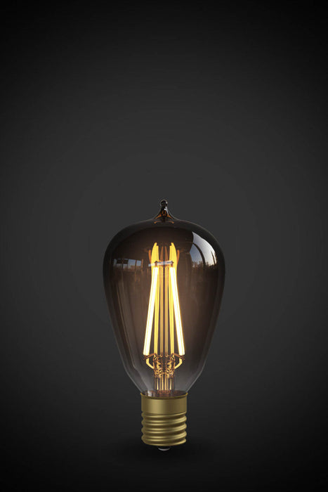 EDISON ST45 Black clear（E17 LED電球）