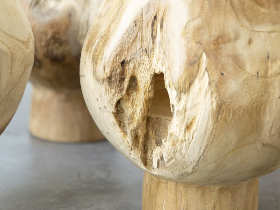 质朴的木质基础对象蘑菇