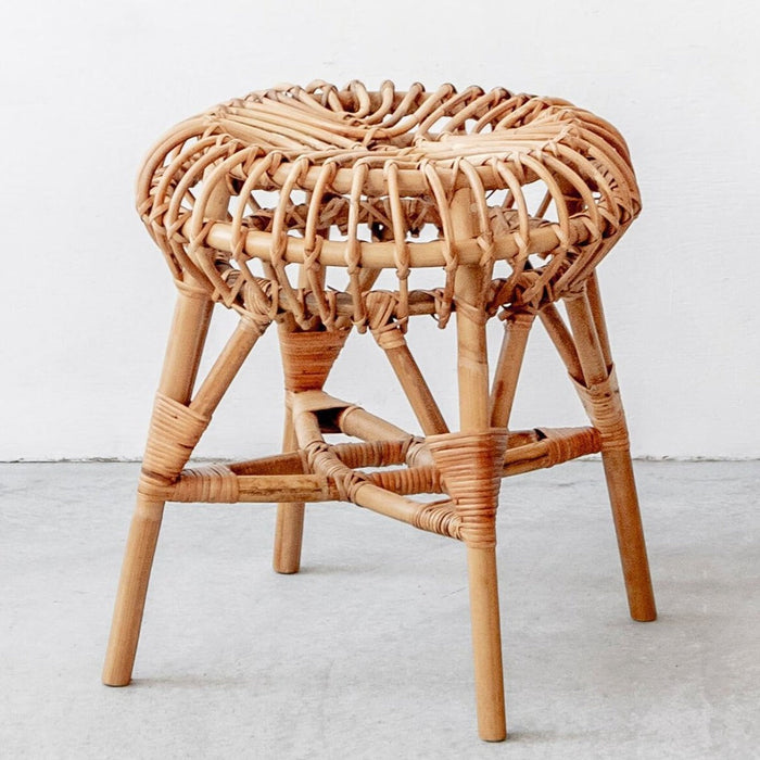 Jellyfish stool